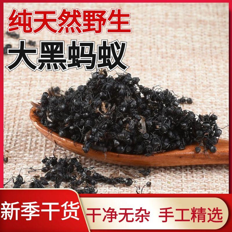 大黑蚂蚁中药材干货正品野生拟黑多刺蚁红蚂蚁黄蚂蚁可食用泡酒料