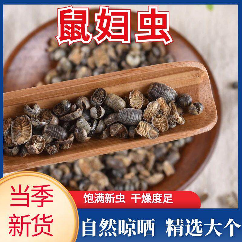 鼠妇虫中药500g中药材干别名潮虫子团子虫地虱婆地虱子西瓜虫