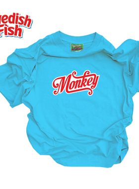 240g浅湖蓝色！千禧风嘻哈rap原创阿美咔叽高街vintage街头短袖T