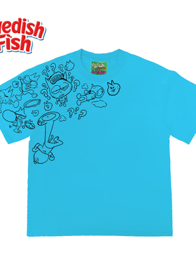 浅湖蓝色！奢潮美式千禧风原创纯棉240g无性别oldschool短袖T恤