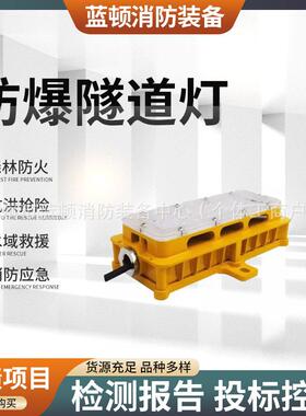 BFC8185LED防爆隧道灯电缆夹层廊道防爆巷道照明灯20W应急BFE8185