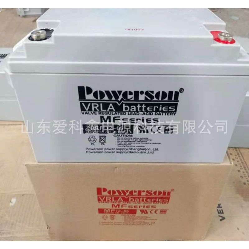 复华蓄电池6-GFM-65 MF12-65 12V65AH 应急照明UPS电源 铅酸电池