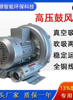 RB-81D-25.5KW漩涡式高压鼓风机清洗机吹干机上料机漩涡真空泵