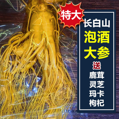 长白山整支高品质保鲜参吉林园参