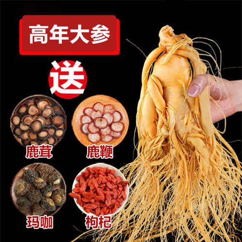 长白山鲜人参煲汤泡酒高皂苷包邮