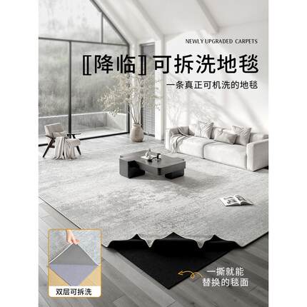 地毯客厅可机洗双层可拆洗2024新款轻奢高级感沙发茶几加厚地垫子