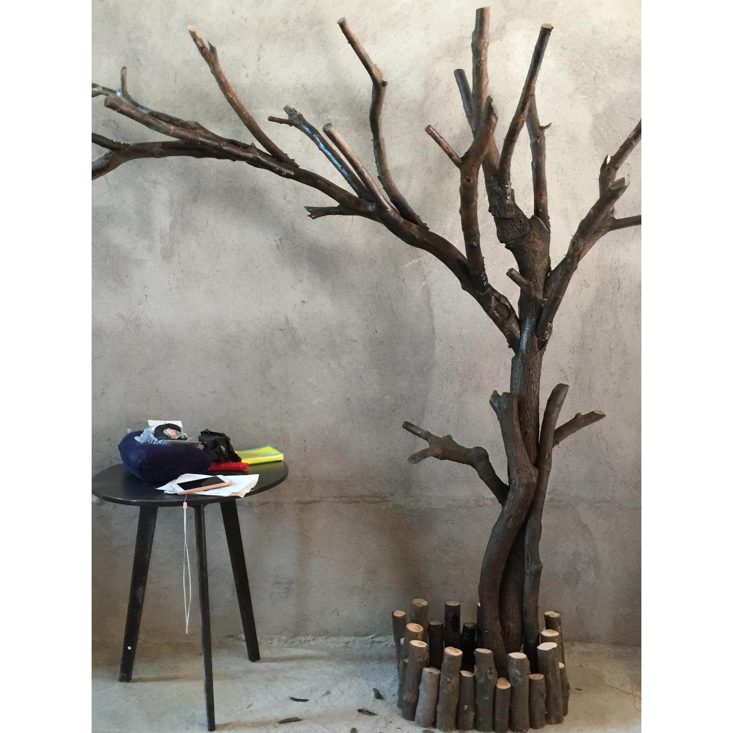 天然树干防虫装饰树漫咖啡枯树实木橱窗道具树干防腐木干枝真树干