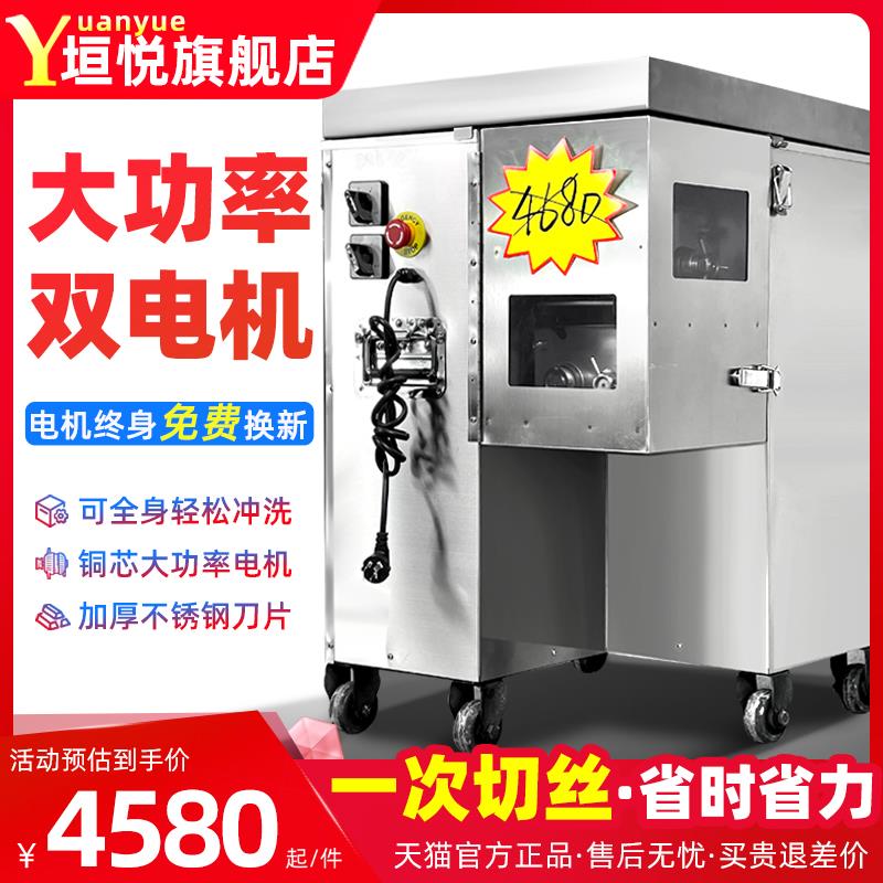 垣悦一次成型切丝机商用大功率不锈钢大型双电机鲜肉切肉条YY104