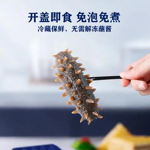 即食海参LSX 即食大连刺参单大个装 500g野鲜深海底播生海参连食