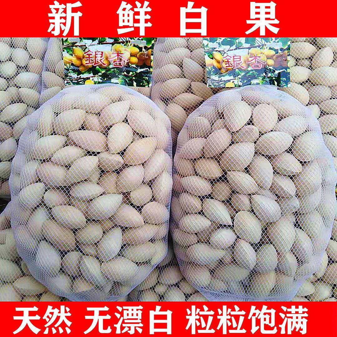 023百年新鲜白果银杏果1-5PNZ装包邮无漂白斤生果大佛指带壳银杏2