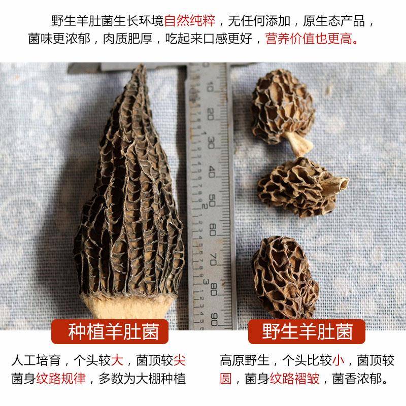 野羊肚菌干DNL货特剪柄生云南高原产山煲珍菌菇天然汤滋补食材