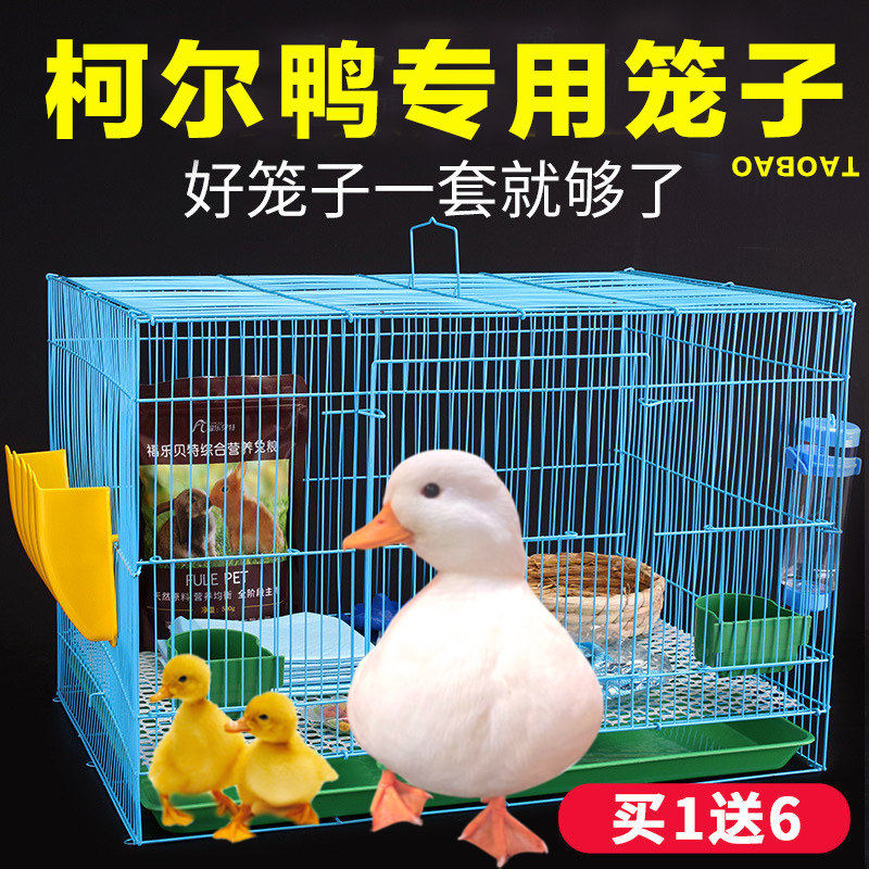 小鸭子笼子家用养柯尔鸭小鸡专用的笼大号自动清粪便小鸭住的房子