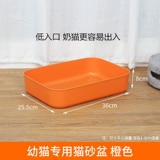 Маленький кошачий песчаный кот