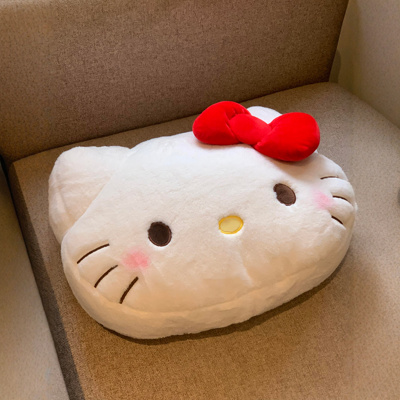 哈喽kt抱枕可爱靠枕靠垫沙发客厅女睡觉专用2025新款毛绒娃娃