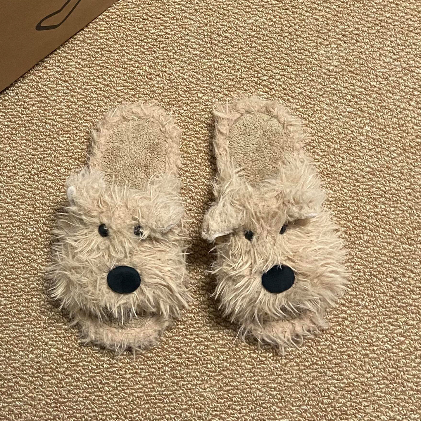 潦草小狗毛毛拖鞋女秋冬可外穿高级感绝美室内保暖百搭家居拖鞋