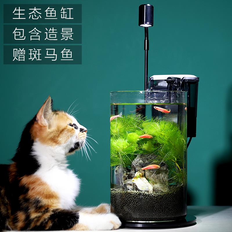 生态瓶微景观小型办公桌面鱼缸造景斗鱼玻璃缸水族客厅创意免换水