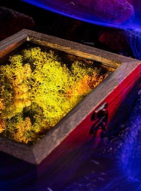 生野造物深渊苔藓无尽氛围灯夜灯桌面摆件生日礼物装饰品助眠