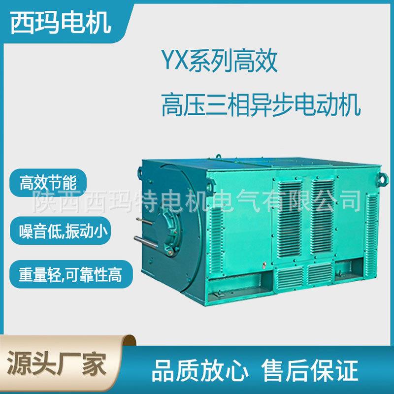 西安电机YX6306-12极1250W6V高压鼠笼型三相异步电动机厂