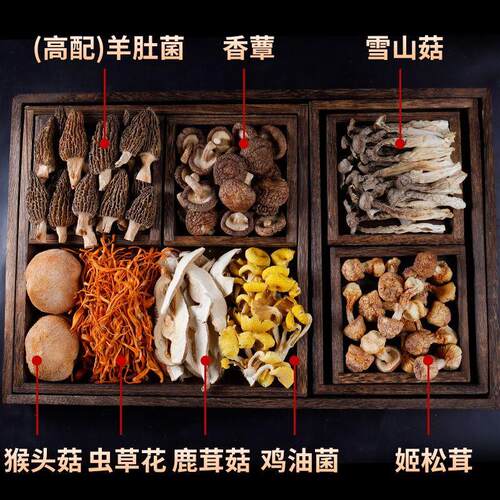 农科院七彩YPJ菌汤包云汤南干煲汤货食材羊肚菌猴头菇香菇菇菌料