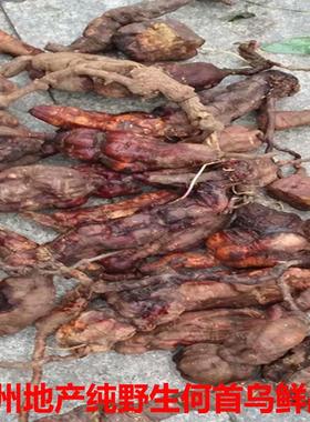 州野生贵新鲜生何首马肝石赤首乌铁秤砣黄YWN花乌根小独乌根50g0