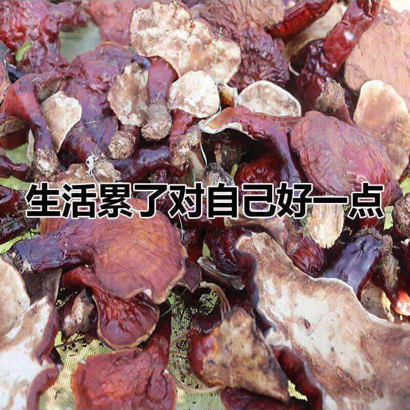 纯野生灵芝整衫枝心保真长白山赤芝正品松货灵芝XRD山白干100g切