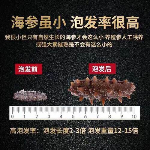 淡干海参小刺参价干海大连海鲜干货特小参海佛跳墙食参材速MCK发