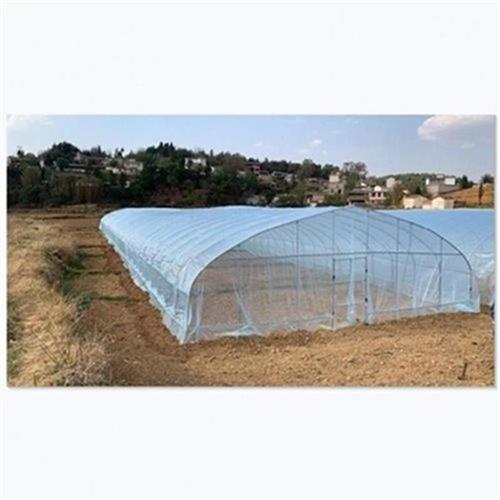 极速新品c栋大棚钢管骨架蔬菜养殖温室镀锌钢管家用阳T台葡萄棚薄