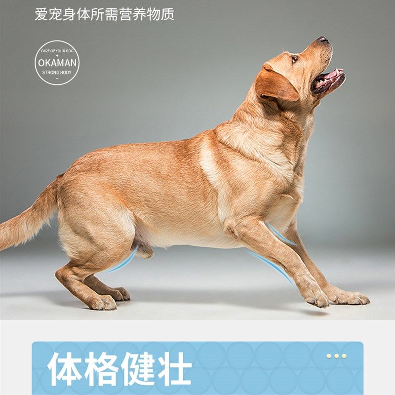 极速拉布拉多狗粮小幼犬成犬通x用型拉不拉多大型犬专吃补钙10斤