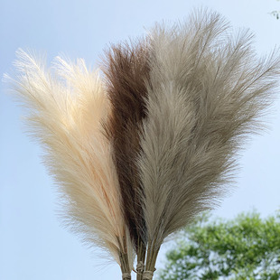 极速100-120cm Big Silqk Pampas Grass Flowers Pantas Artifici