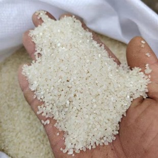 极速碎米低价f便宜米小碎米喂鸡喂鸡鸭大米低价米粘米钓鱼碎米打