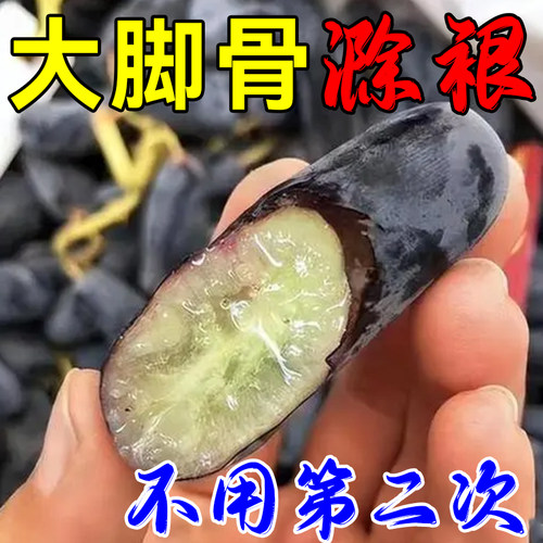 极速拇指外翻g贴大脚骨突出变形矫正器脚趾重叠严重拇外翻专用膏