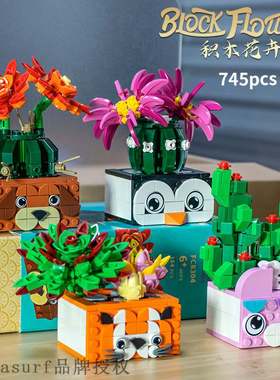 极速Square orange buoilding block fc8301 succulent plant bon