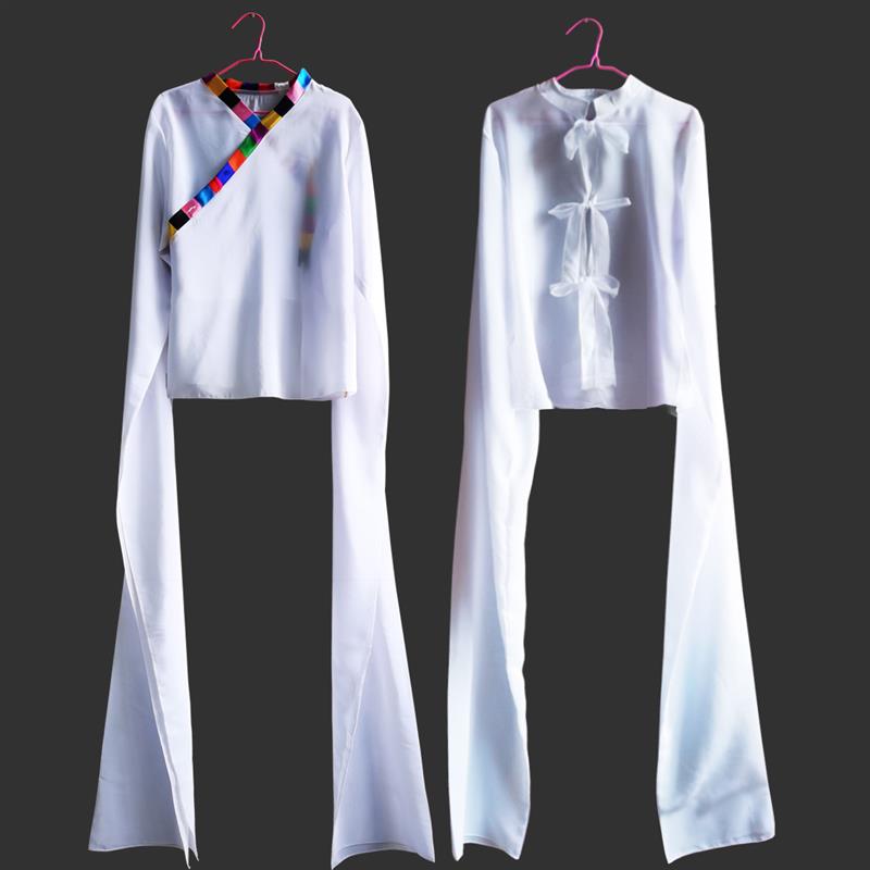 水袖藏族舞古典舞蹈服练习甩袖戏曲惊鸿舞演出服长上衣女