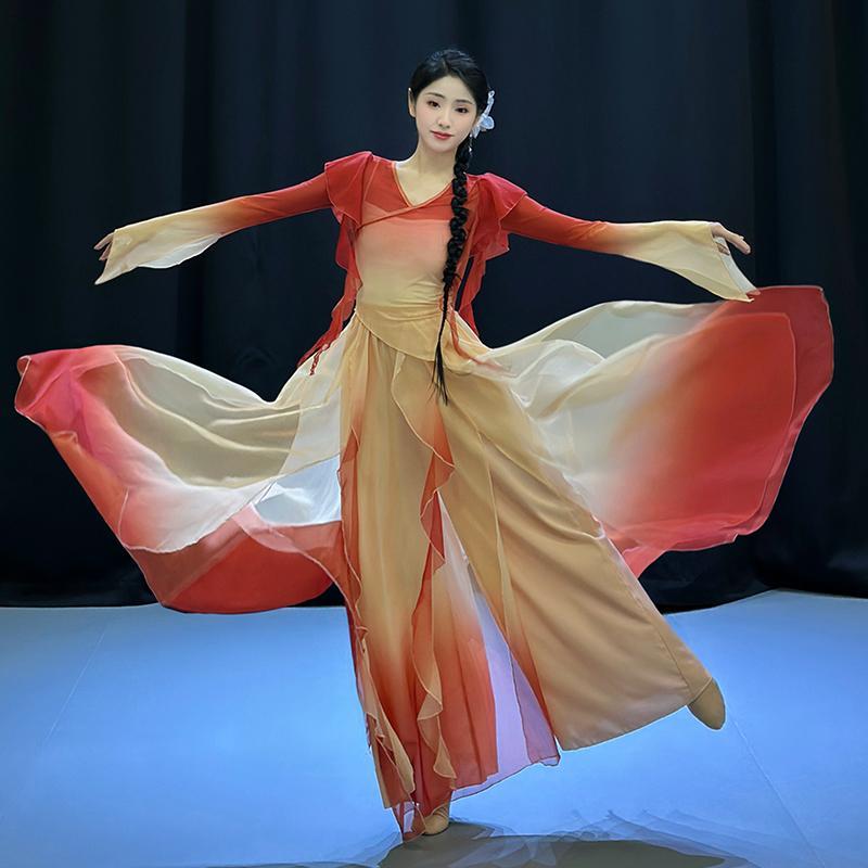 古典舞演出服舞蹈服套装古风双层飘逸大摆裙中国舞身韵纱衣表演服