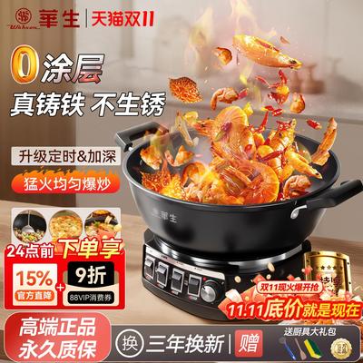 华生电炒锅多功能家用铸
