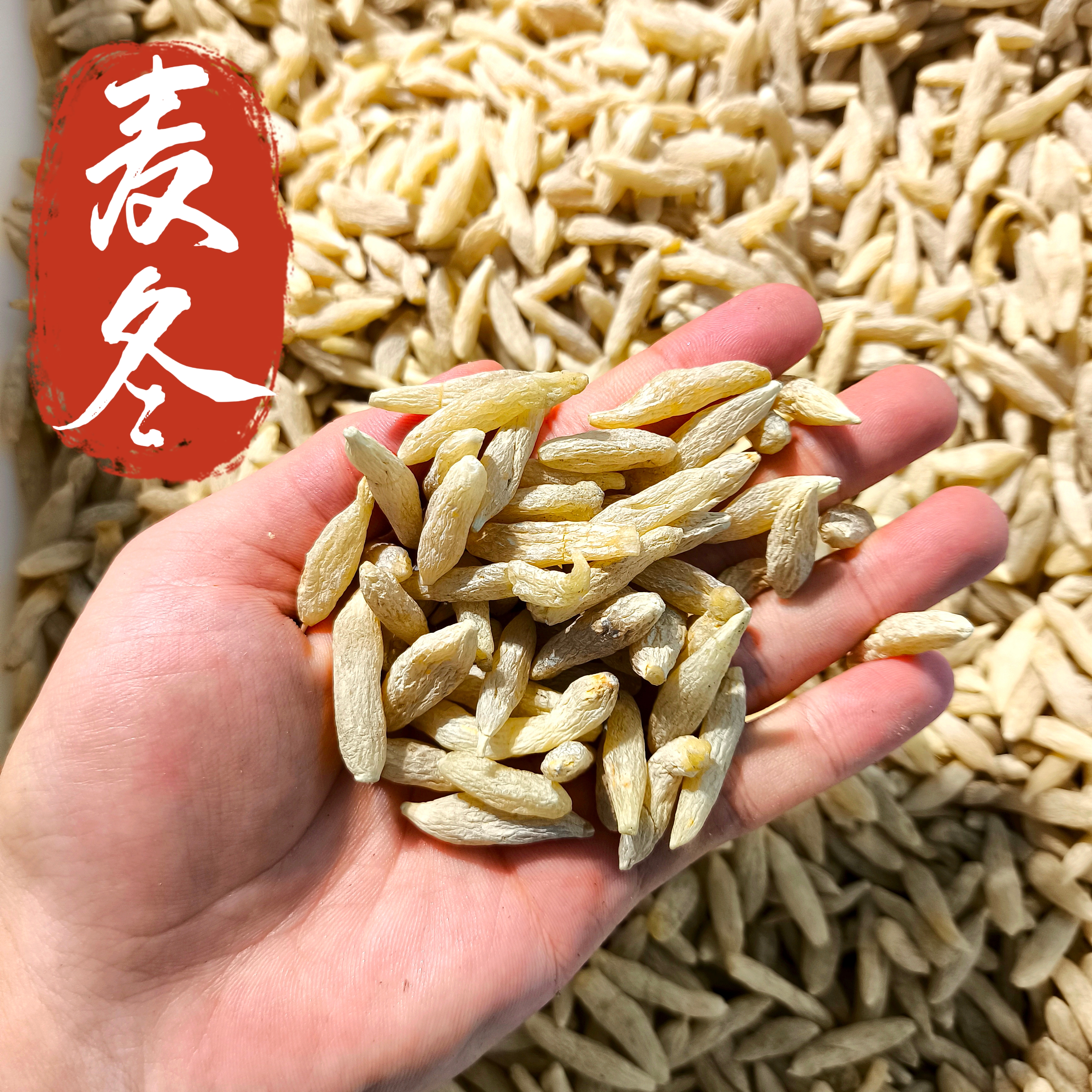 川麦冬中药材四川麦冬选货无硫川