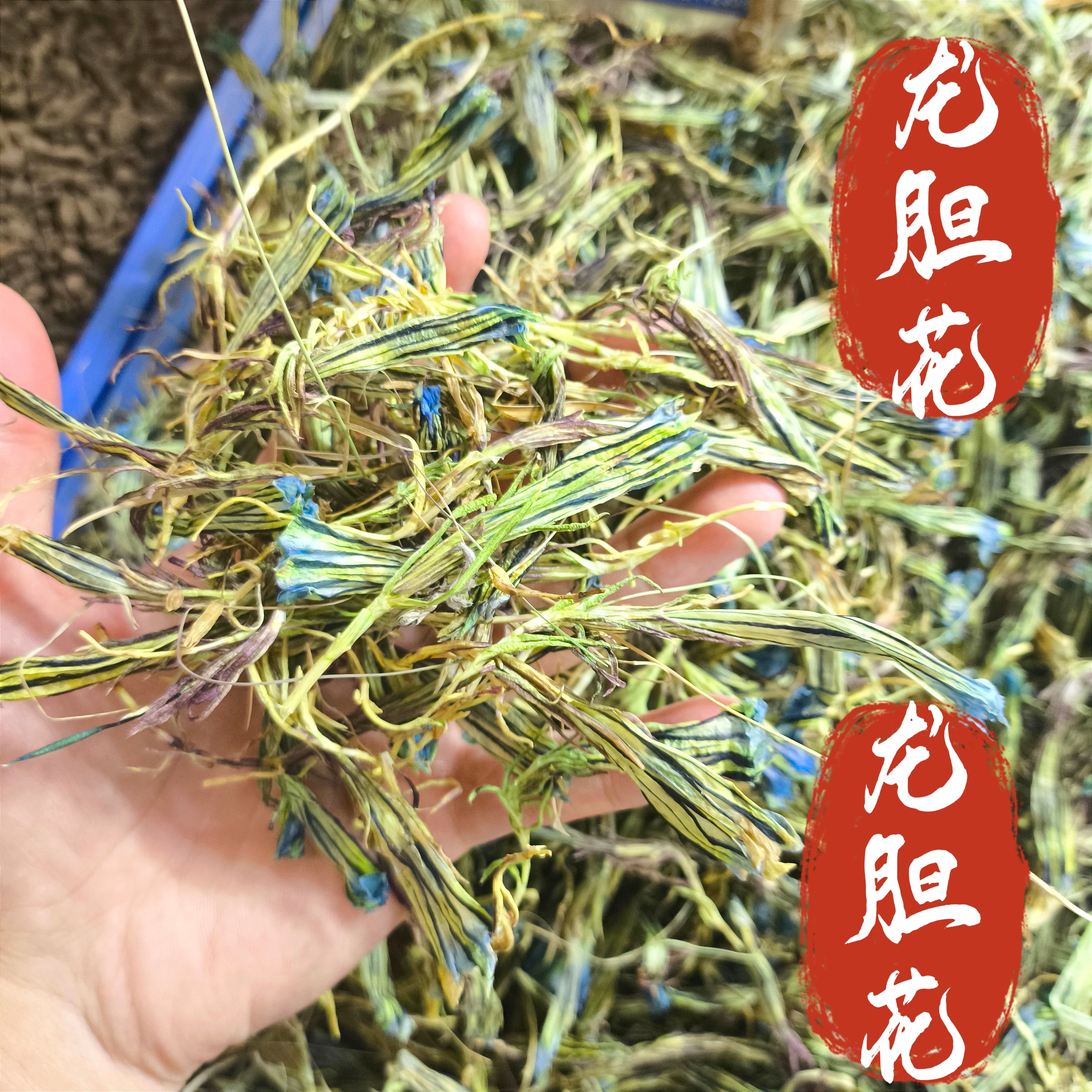 龙胆花中药材 精选龙胆花 西藏特产龙胆花茶