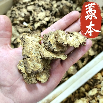 藁本中药材藁本根香藁本精选新货
