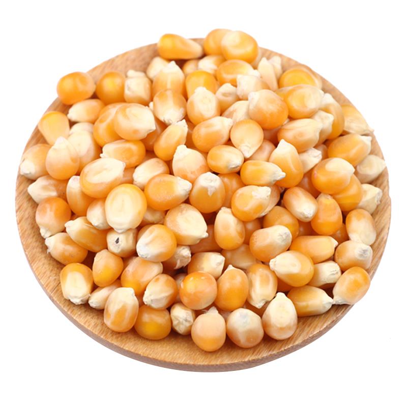 球形蝶形爆花小玉米爆裂玉米新货5斤爆米花小玉米苞米花原料