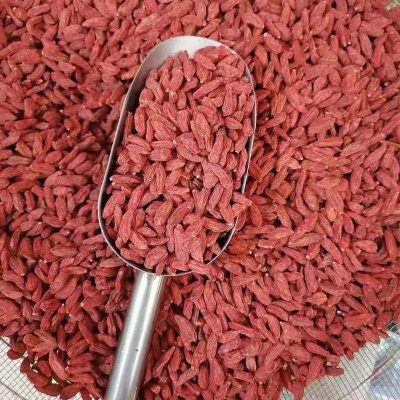 180粒宁夏枸杞子原产地宁夏中宁县枸杞工厂大颗粒干果枸杞子