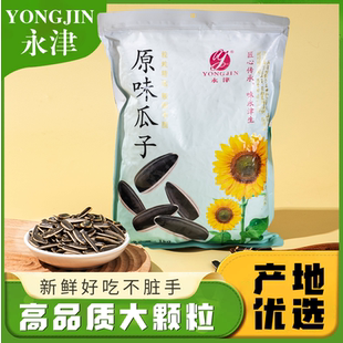 包邮 永津瓜子正品 25年新疆永津瓜子新葵花籽大颗粒原味炒货年货
