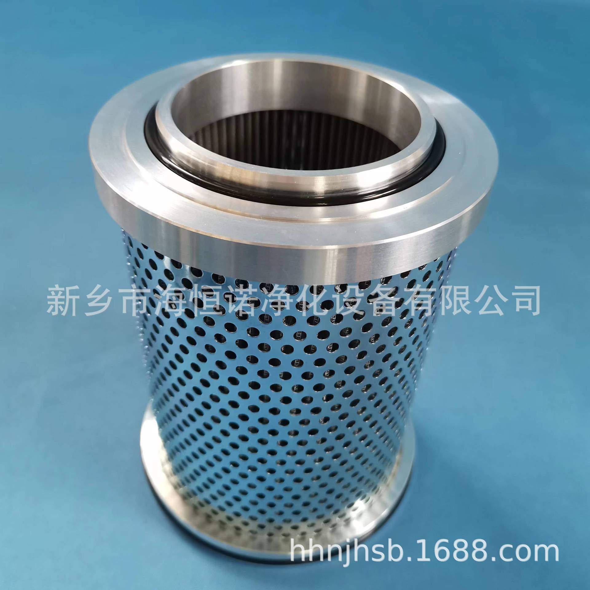 AZ3E303-02D01V/-W 代号：W.38.Z.000219给水泵液力耦合器滤芯