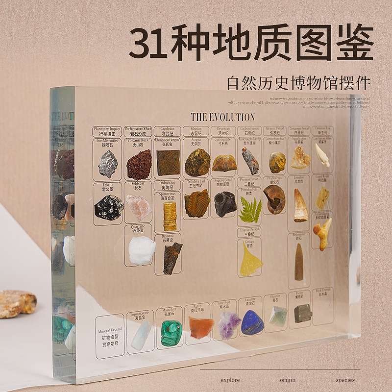 31种天然矿物化石植物手作包埋家居摆件树脂镶嵌摆台收藏送礼手工