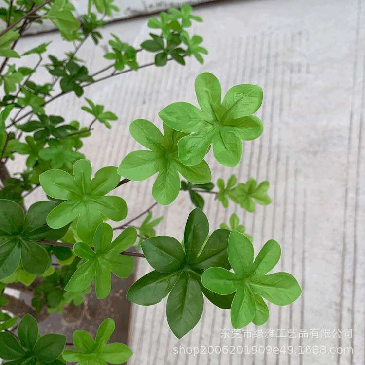 仿真树杆仿真吊钟树多瓣树马醉木假树造景装饰树