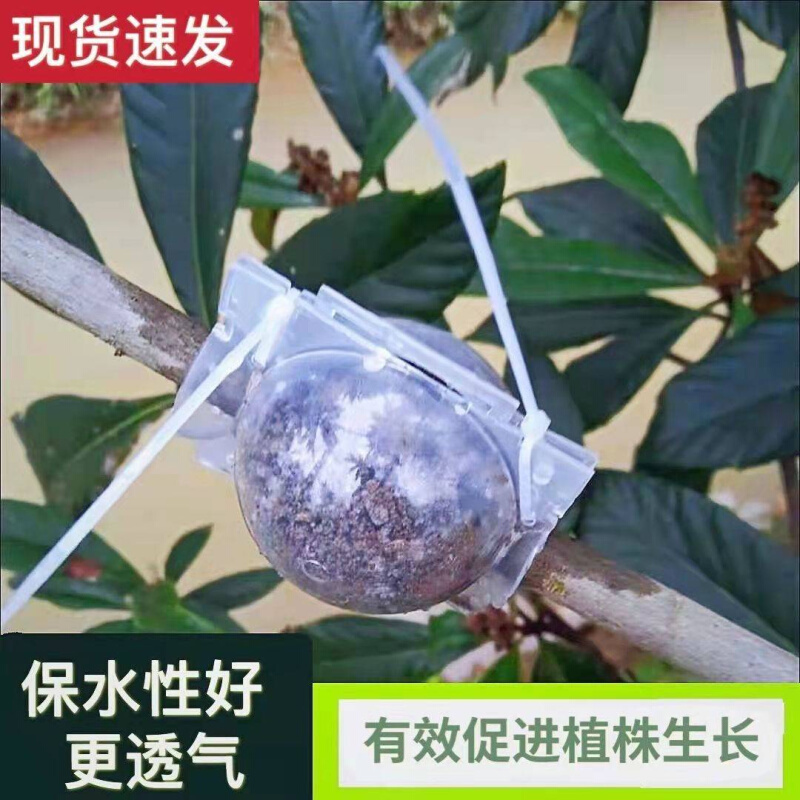 植物嫁接神器果树嫁接神器树木嫁接工具繁殖扦插枝条生根花木移栽