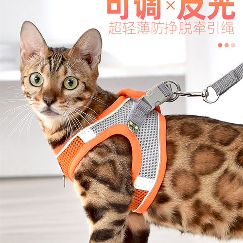 极速猫咪牵引绳防挣脱背心式可调节网红遛猫链子幼U猫小猫咪外出