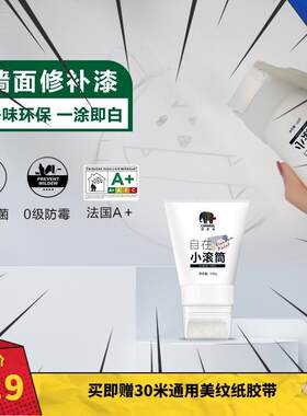 极速德爱威(Caparol)自在小滚D筒小滚刷修补漆DIY补墙漆补墙膏
