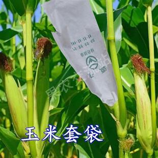 极速苦瓜套袋专用袋凉瓜黄瓜果蔬袋癞瓜青瓜紫茄T子纸袋玉米南瓜