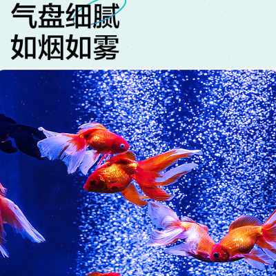 极速鱼呼吸鱼缸氧气泵气泡石增氧雾化气泡条超静R音增氧机极细纳