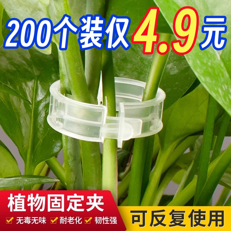 绑蔓固定夹扶蔓夹植物蔬菜瓜果藤蔓大...